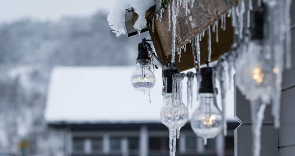 light bulbs with snow and icicles